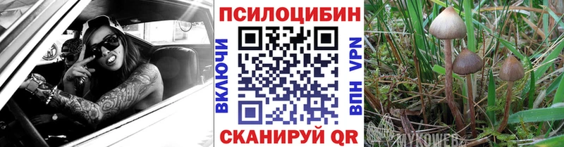Галлюциногенные грибы Magic Shrooms Павловская